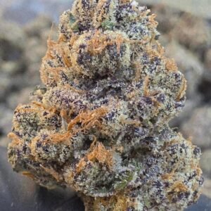 Jet Fuel x Biscotti
