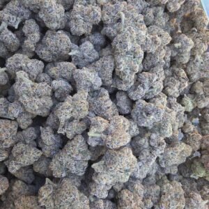 Galactic Warheads
